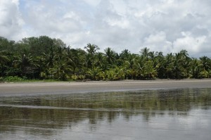 DSC03014  